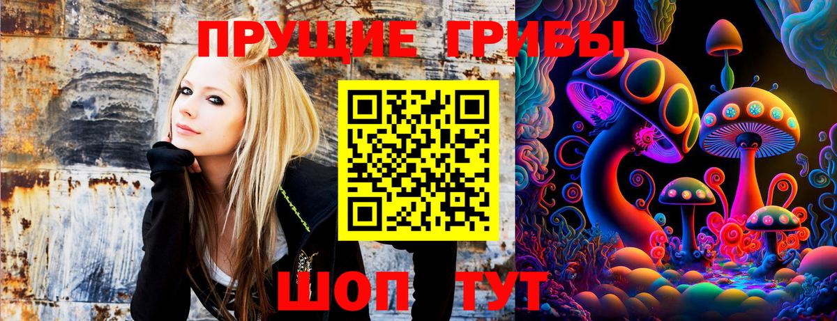 Амурск  Псилоцибиновые грибы GOLDEN TEACHER  Вход с VPN 